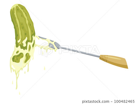 Homemade pickled cucumber. Clip-art of marinated food for packaging, label, menu, signboard or showcase. Fermented veggies, crunch gherkin with salt. Healthy vegetarian food 100482465