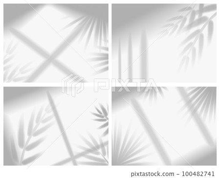 Shadow mockups. Sunlight overlay effect from window frames and tropical plant branch, palm tree leaves on room wall, ceiling or floor. Realistic background. Vector illustration set 100482741