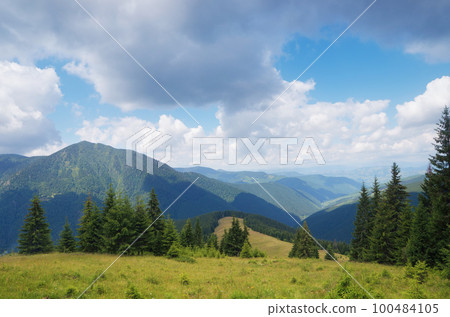 Summer landscape in the mountains 100484105
