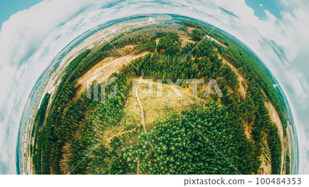 Little Planet View Of Coniferous Trees Green Forest. Pine Forest In Deforestation Area Landscape. Aerial View Top View Of Amazing European Nature. Deforestation Concept. Little Small Planet Concept 100484353