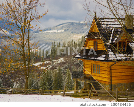 wooden houses in winter. Koscielisko Tatras, Poland 100484436