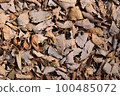 很多落葉 枯葉 100485072