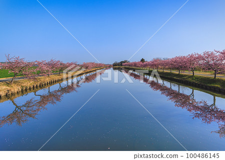 s松川津櫻路 100486145