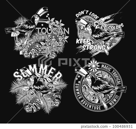 Set of labels with toucan bird, tropical foliage Set of labels with toucan bird, tropical foliage 100486931
