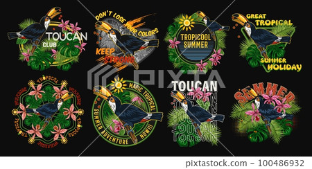 Set of labels with toucan bird, tropical foliage 100486932