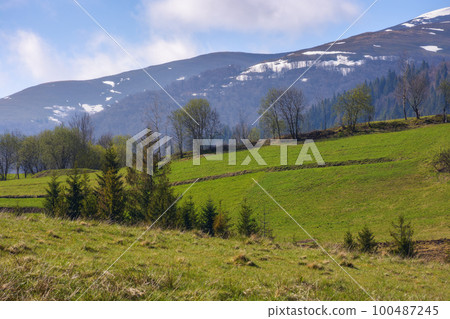 sunny rural mountain landscape with fields and clouds. majestic morning countryside in spring 100487245