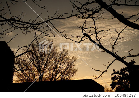 Winter evening sky 100487288