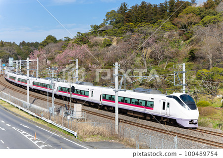 Spring Kairakuen and Limited Express Hitachi 100489754