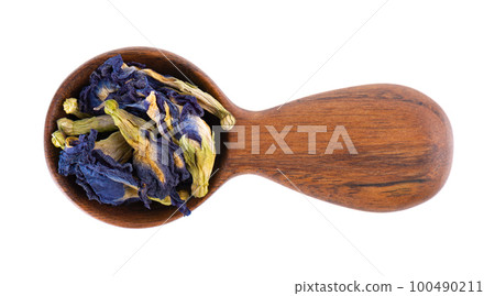 Butterfly pea flowers in wooden spoon, isolated on white background. Blue herbal tea. Clitoria Ternatea. Top view. Butterfly pea flowers in wooden spoon, isolated on white background. Blue herbal tea. Clitoria Ternatea. Top view. 100490211