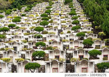 chinese cemetery 100490276