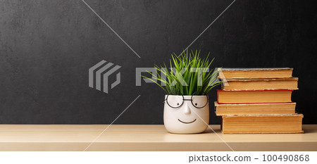 Stack of old books and potted plant 100490868