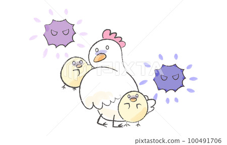 Chickens and chicks afraid of bird flu 1 100491706