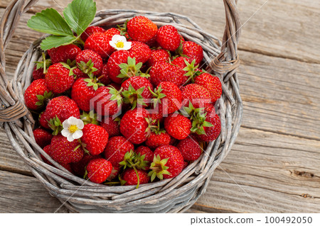 Ripe strawberries in basket Ripe strawberries in basket 100492050