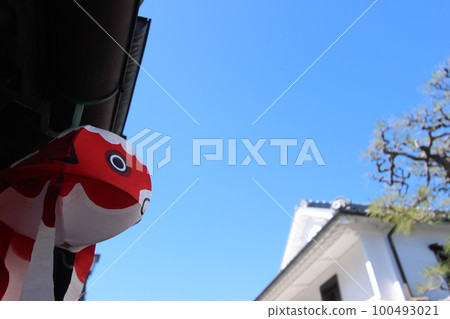 白牆街景 山口旅遊“金魚燈籠” 柳井市 白牆街景 山口旅遊“金魚燈籠” 柳井市 100493021