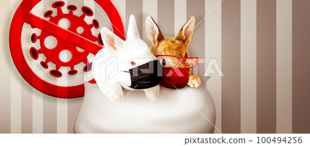 Easter rabbit with medical mask at epidemic time 100494256