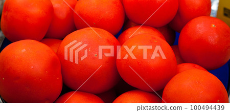 Fresh tasty tomato, all organic tomato, fresh organic red tomato Fresh tasty tomato, all organic tomato, fresh organic red tomato 100494439