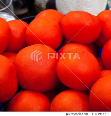 Fresh tasty tomato, all organic tomato, fresh organic red tomato Fresh tasty tomato, all organic tomato, fresh organic red tomato 100494440