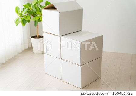 cardboard box with open lid 100495722