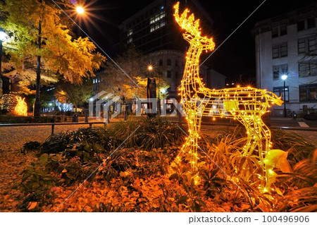 christmas deer illumination christmas deer illumination 100496906