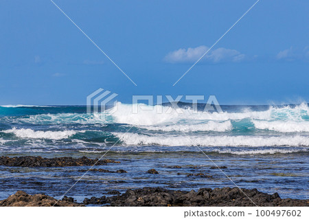 Popcorn beach near Corralejo on the island of Fuerteventura 100497602