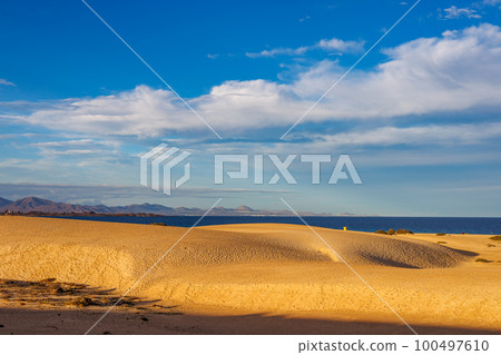 Sand dunes in the Parque Natural de Corralejo on the island of Fuerteventura 100497610