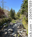 河流 100497889