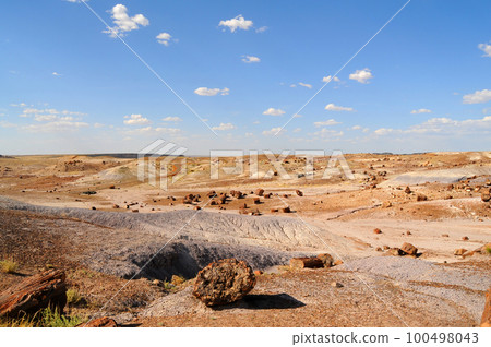 Desolate Landscape Petrified Forest Arizona 100498043