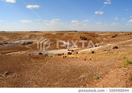 Desolate Landscape Petrified Forest Arizona 100498044