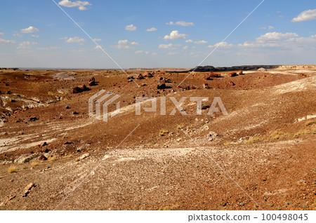 Desolate Landscape Petrified Forest Arizona Desolate Landscape Petrified Forest Arizona 100498045