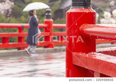 220414 多雨高山節 g313 100498608