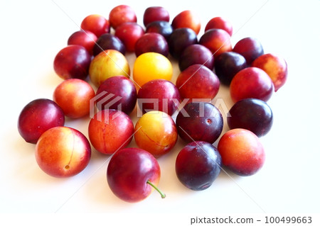 Cherry plum on a white background. A yellow-red cherry plum mix just removed from a tree. Delicious fresh plum berries. Appetizing large cherry plum for sale catalog. Food on a white background Cherry plum on a white background. A yellow-red cherry plum mix just removed from a tree. Delicious fresh plum berries. Appetizing large cherry plum for sale catalog. Food on a white background 100499663