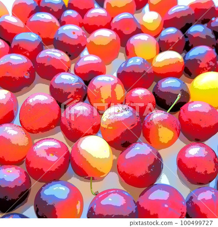 Cherry plum on a white background. A yellow-red cherry plum mix just removed from a tree. Delicious fresh plum berries. Appetizing large cherry plum for sale catalog. Food on a white background 100499727