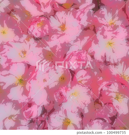 Pink flowers cherry sakura background. Flower wall illustration. Soft selective focus. Holiday postcard. Pink petals and yellow stamens.Prunus serrulata background. Blurry art. Spring cherry blossom Pink flowers cherry sakura background. Flower wall illustration. Soft selective focus. Holiday postcard. Pink petals and yellow stamens.Prunus serrulata background. Blurry art. Spring cherry blossom 100499735