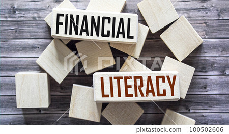 Financial literacy is written on wooden blocks. Education concept. 100502606