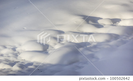 Winter landscape . Snowy winter . White snow with snowdrift shadows 100502642