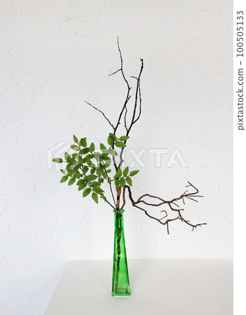 Bouquet in the Asian style, ikebana. Roots, tree branches, blueberries. In a green vase or bottle. White background 100505133
