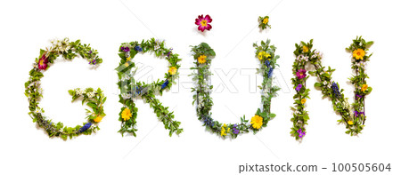Blooming Flower Letters Building German Word Gruen Means Green Blooming Flower Letters Building German Word Gruen Means Green 100505604