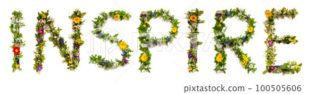 Blooming Flower Letters Building English Word Inspire Blooming Flower Letters Building English Word Inspire 100505606