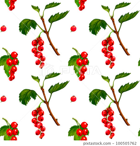 Seamless pattern with red berries. Watercolor currant isolated on white background. Clip art berry branches. Seamless pattern with red berries. Watercolor currant isolated on white background. Clip art berry branches. 100505762