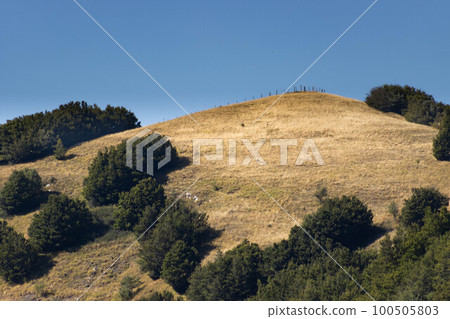 Mountain landscape of Cirone Pass, Toscano Emiliano Park in Parma province, Italy Mountain landscape of Cirone Pass, Toscano Emiliano Park in Parma province, Italy 100505803