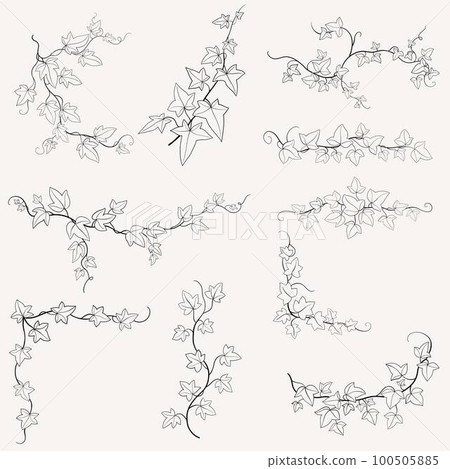 Floral ivy drawing decorative ornament flat design collection. 100505885
