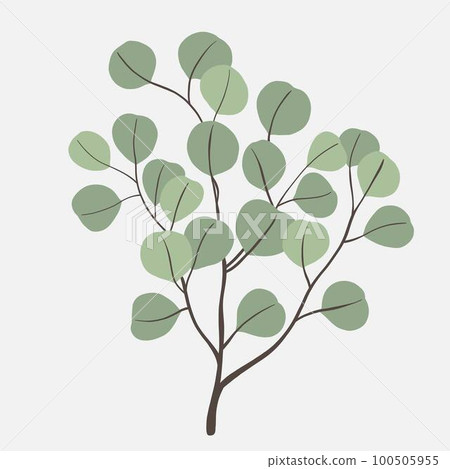 Freehand drawing of Eucalyptus branch. Freehand drawing of Eucalyptus branch. 100505955
