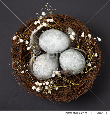Brown nest of twigs with three gray Easter eggs, feathers and sprigs of gypsophila on black background. Minimalistic Easter concept Brown nest of twigs with three gray Easter eggs, feathers and sprigs of gypsophila on black background. Minimalistic Easter concept 100506501