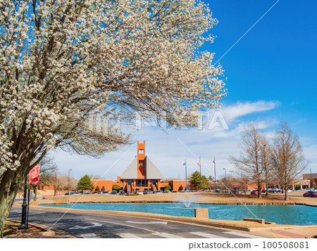 Sunny view of Callery pear blossom in the campus of Oklahoma Christian University 100508081