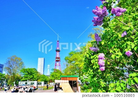 Hokkaido Sapporo Odori Park Hokkaido Sapporo Odori Park 100510803
