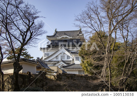 岡崎城 岡崎城 100513038