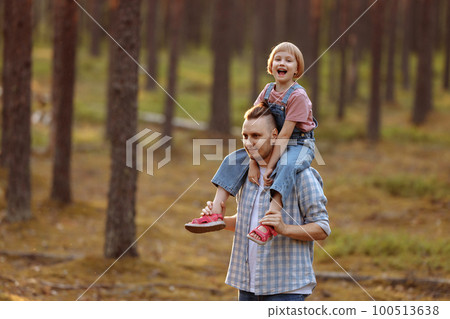 Dad and his daughter are walking along a forest road among tall pines. 100513638