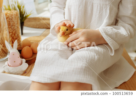 A child girl in a white dress holds a duck in her arms. A child girl in a white dress holds a duck in her arms. 100513659