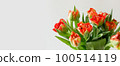 Peony-shaped terry orange-red tulip flowers bouquet banner close up on white background Peony-shaped terry orange-red tulip flowers bouquet banner close up on white background 100514119