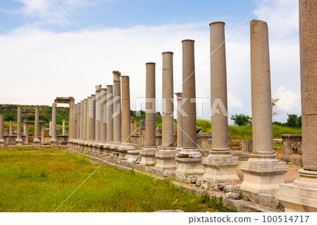 Remains of stone columns of Agora in ancient settlement of Perga, Turkey 100514717